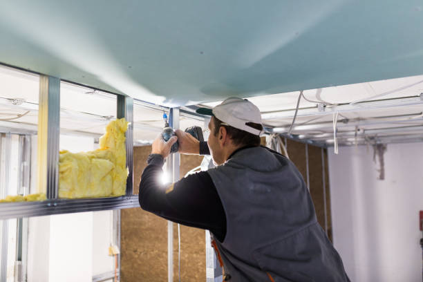 Best Specialized Insulation Services in Woodland Beach, MI